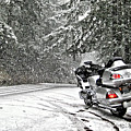 Into the Winter Storm